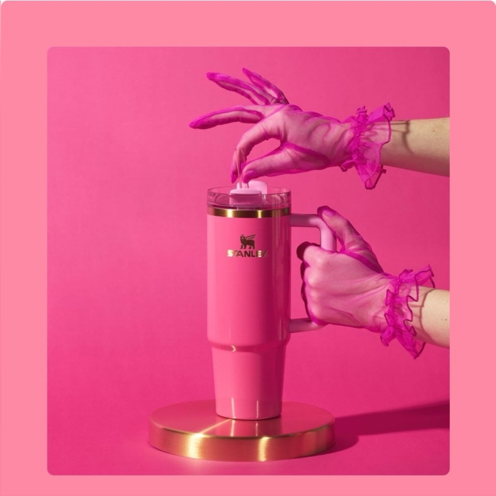 🎀 NWT LIMITED EDITION Pink Parade Stanley w/Straws 🎀